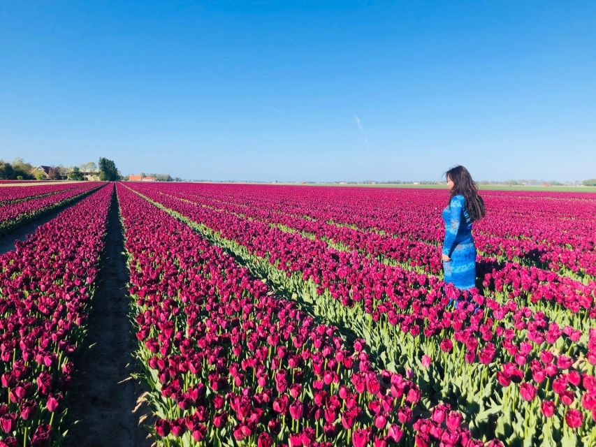 From Amsterdam: Small Group Keukenhof & City Tour Delft - Getting there from Amsterdam: timing in a 9-hour day