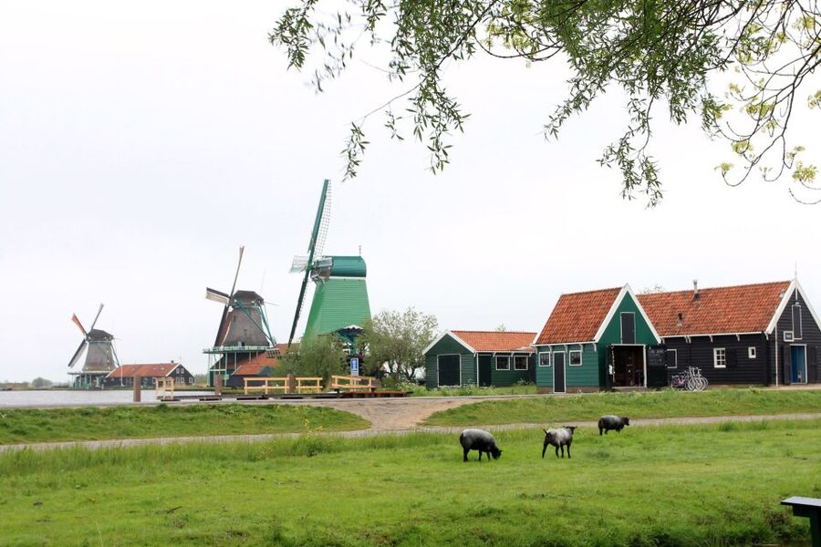 From Amsterdam: Windmills of Zaanse Schans Tour - FAQ