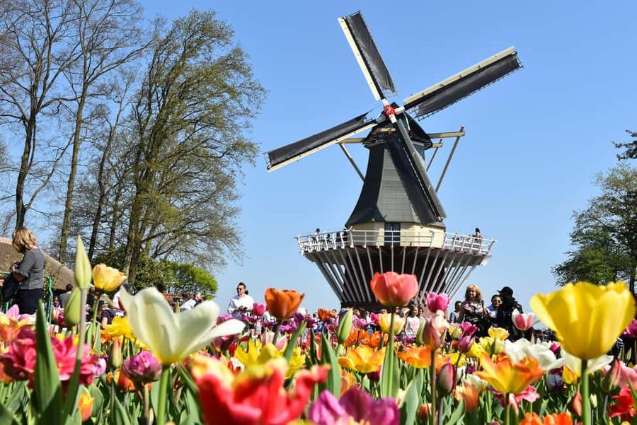 From Brussels: Keukenhof & Windmills Full-Day Guided Tour - The road part: bus hours, bathroom breaks, and keeping your energy