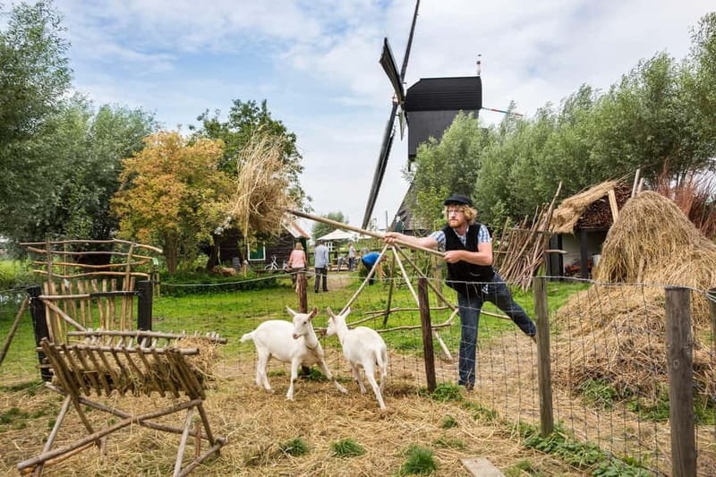 From Brussels: Keukenhof & Windmills Full-Day Guided Tour - Getting ready: what to bring and what to skip