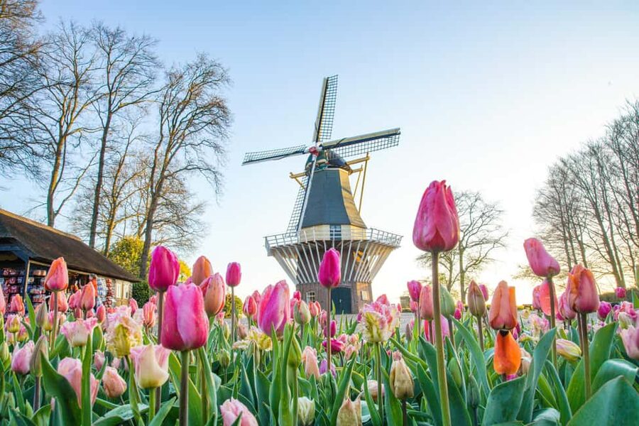 From Brussels: Keukenhof & Windmills Full-Day Guided Tour - Should you book the Brussels to Keukenhof and windmills tour?
