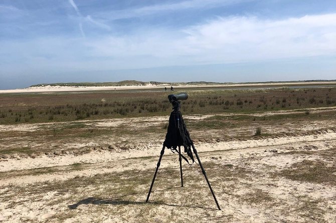 Full day tour to Texel - Friesian Islands - from Amsterdam - Ferry time and Wadden Sea views that change with the day