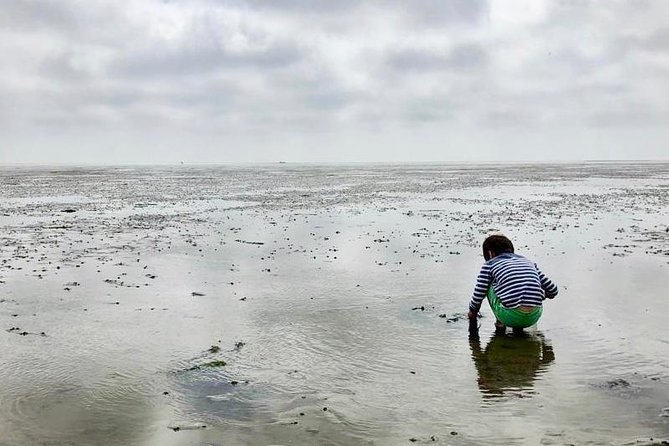 Full day tour to Texel - Friesian Islands - from Amsterdam - Who this fits best, and who might want a different style of trip