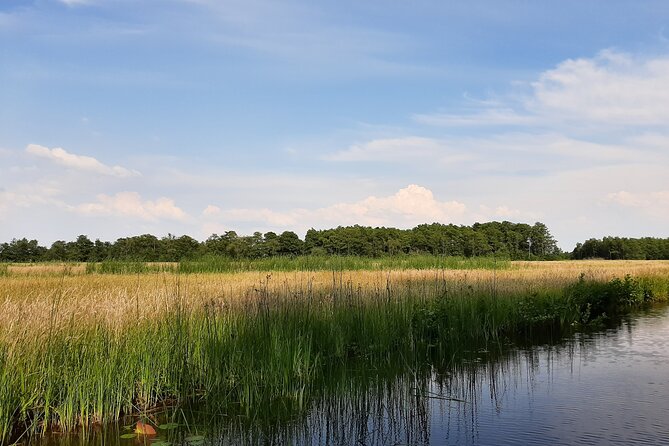 Giethoorn Private 1 or 2 Hour VIP Boat Tour - Price and group size, and what the money is really buying