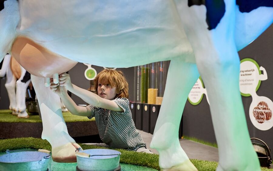 Gouda: Gouda Cheese Experience Entry Ticket - Staff, Self-Guided Flow, and the Mariella Factor