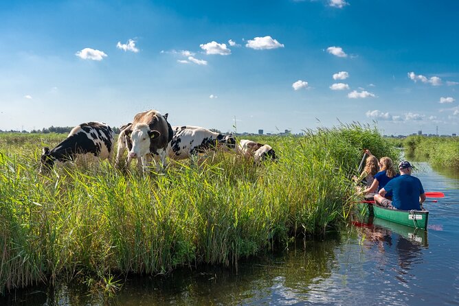 Guided Canoe Adventure with Picnic Lunch in Waterland from Amsterdam - Key things to know before you go