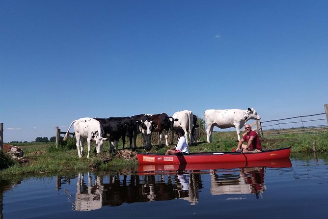 Guided Canoe Adventure with Picnic Lunch in Waterland from Amsterdam - Dress code for wet feet, muddy shoes, and Dutch weather swings