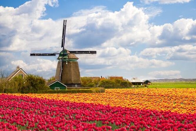Guided Day Trip - Volendam, Zaanse Schans, Marken & Edam - Choosing the Right Ticket: What the All-Inclusive Option Adds