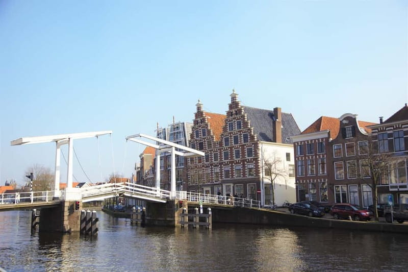 Haarlem: Food Tour - Cheese, bakery treats, fish favorites, and other local roles
