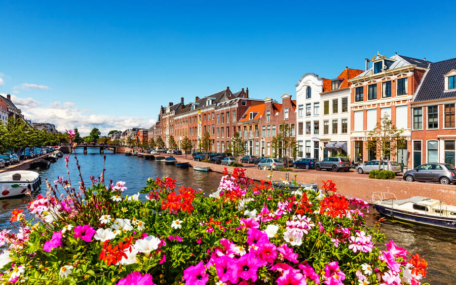 Haarlem Highlights Bike Tour - Insider tips on where to eat and what to see next