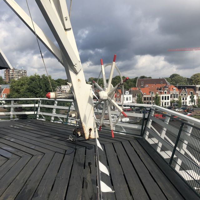 Haarlem: Windmill 'De Adriaan' Guided Tour - Coffee, cookies, and the best timing for your visit