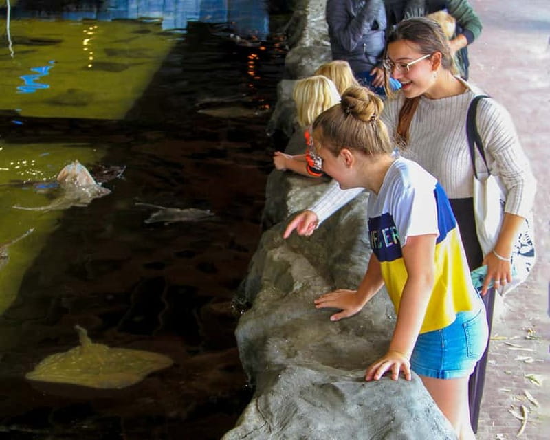 Harderwijk: Dolfinarium Entry Ticket - How much time should you set aside in Dolfinarium?