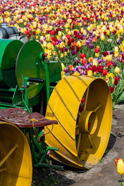 Hillegom: Tulip Barn Entry Ticket - Getting there and making the most of a one-day ticket