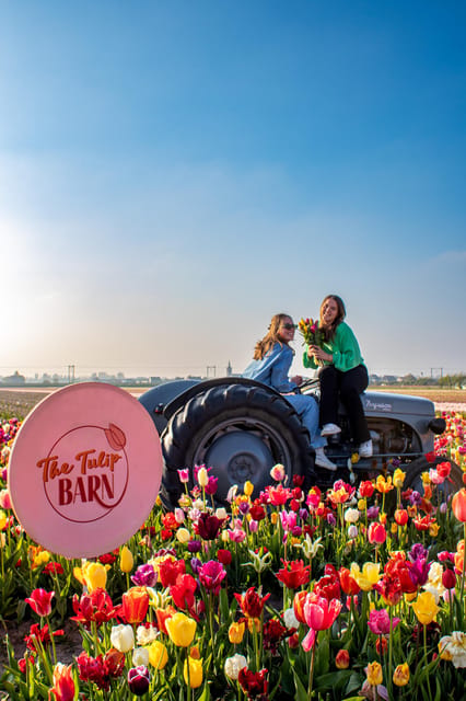 Hillegom: Tulip Barn Entry Ticket - Price and value at $12 per person, plus rules that affect your visit
