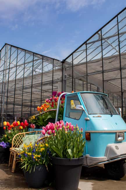 Hillegom: Tulip Barn Entry Ticket - Should you book The Tulip Barn entry ticket in Hillegom?