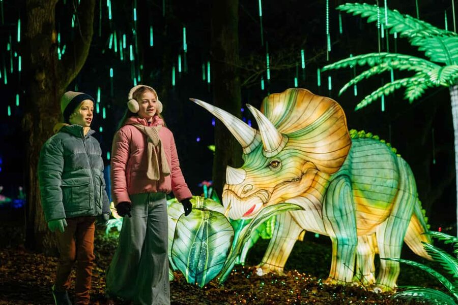 Hilvarenbeek: Light Safari at Beekse Bergen - Key highlights I’d circle on your plan