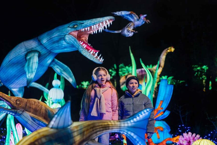 Hilvarenbeek: Light Safari at Beekse Bergen - Entering the Route: Luminous Animals, Plants, and Storytelling Stops