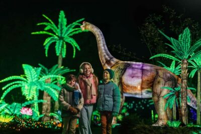 Hilvarenbeek: Light Safari at Beekse Bergen