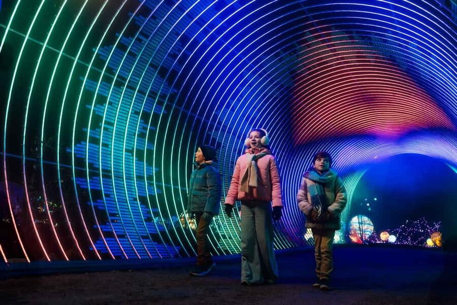 Hilvarenbeek: Light Safari at Beekse Bergen - FAQ