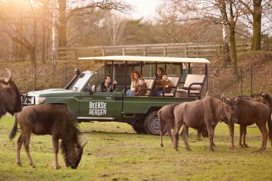 Hilvarenbeek: Safaripark Beekse Bergen Entry Ticket - Getting to Hilvarenbeek from Tilburg, and the simplest way to plan transport