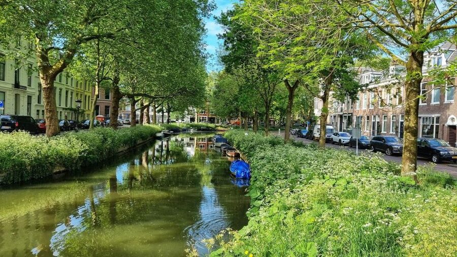 Historical Utrecht: Private Walking Tour with a Local Guide - Utrecht’s canals and wharf cellars at water level are the real giveaway