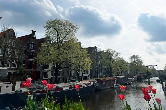 Historical Walking Tour, private with local Dutch guide - Het Kleinste Huis and Dam Square: tiny scale details and big national moments
