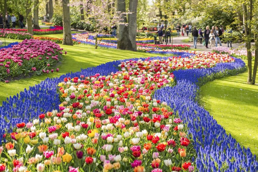 Keukenhof: Flower Fields Small-Group Cultural Bike Tour - Photo stops and flower-field storytelling along the route