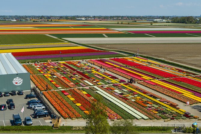 Keukenhof Gardens and Tulips Private Tour from Amsterdam - Key highlights worth clocking before you go