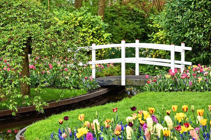 Keukenhof Gardens and Tulips Private Tour from Amsterdam - A fast, private day to Holland’s main flower show