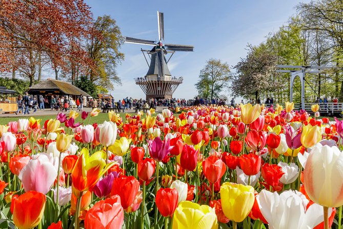 Keukenhof Gardens & Tulip Experience Tour from Amsterdam - Morning pickup and the coach ride out of Amsterdam