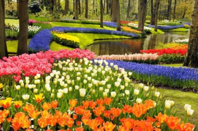 Keukenhof Gardens & Tulip Experience Tour from Amsterdam