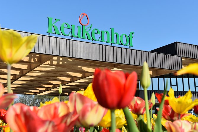Keukenhof Gardens & Tulip Experience Tour from Amsterdam - Who this tour suits best, and who might want a different plan