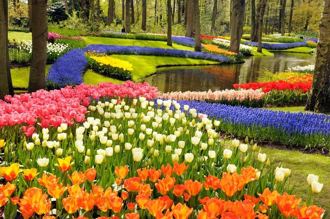 Keukenhof Gardens & Tulip Experience Tour from Amsterdam - Tulip Experience Amsterdam: indoor museum, show garden, and field time for photos