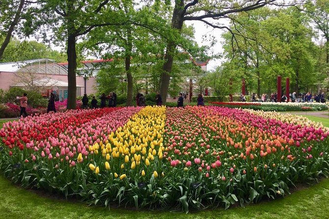 Keukenhof's Tulips and Windmills Small-Group Tour from Amsterdam - Molen De Kat Windmill: The One Stop I’d Prioritize