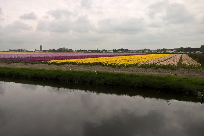 Keukenhof's Tulips and Windmills Small-Group Tour from Amsterdam - Keukenhof Gardens: 3 Hours to See What You Actually Came For