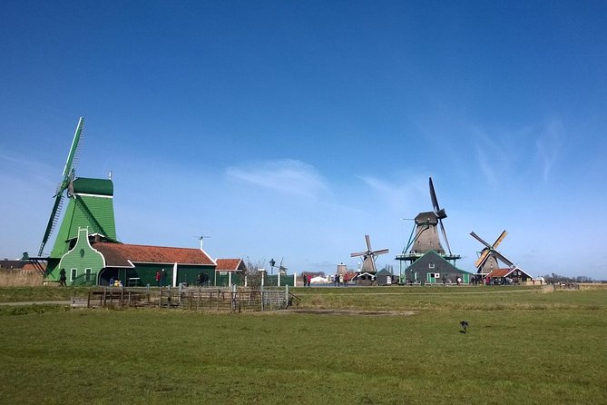 Keukenhof's Tulips and Windmills Small-Group Tour from Amsterdam - When Peak Crowds Hit, Your Comfort Comes Down to Timing