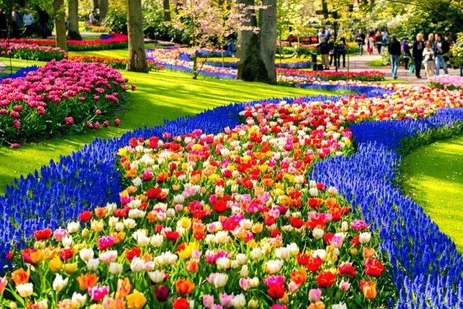 Keukenhof Skip-the-line Tickets: Countryside & Farm Private Tour - Key Points You Should Know Before You Go