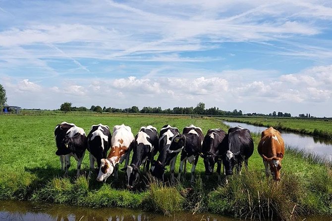 Keukenhof Skip-the-line Tickets: Countryside & Farm Private Tour - Zaanse Schans Windmills Along the Zaan River
