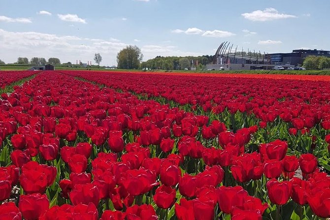 Keukenhof Skip-the-line Tickets: Countryside & Farm Private Tour - How This 8-Hour Loop Actually Works in Your Day