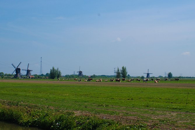 Kinderdijk Area Cycling Tour - The guide experience: Marco’s local angles and smart weather handling