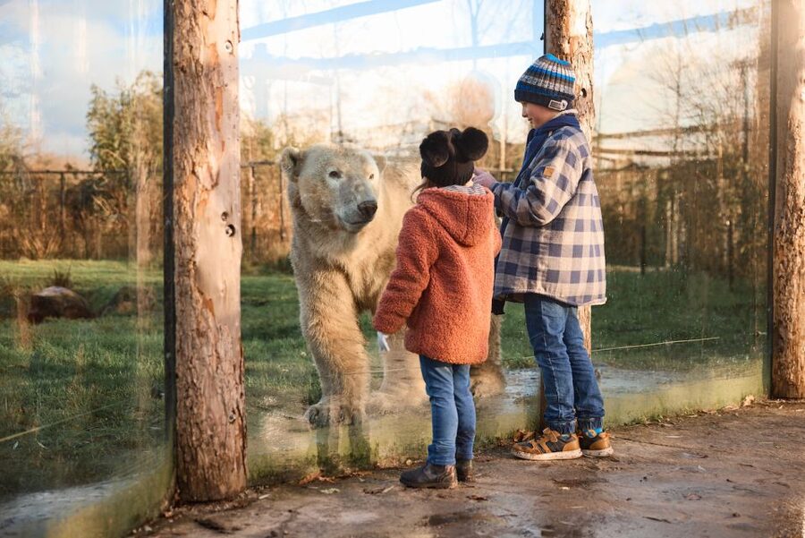 Leewarden: AquaZoo Entry Ticket - Other animals you’ll likely enjoy: capybaras and nandus