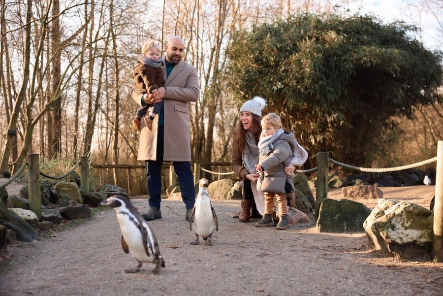 Leewarden: AquaZoo Entry Ticket - Price and value: is $23 a good deal for a full zoo day?