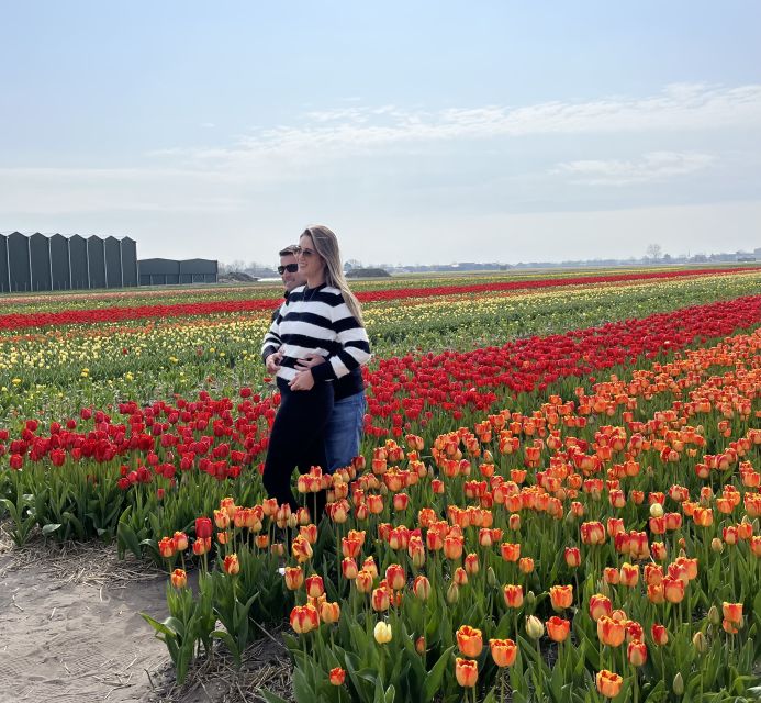 Lisse: Enjoy the Tulip Fields by Bike with a Local Guide! - Riding through the blooming fields: what you can control, and what you cannot