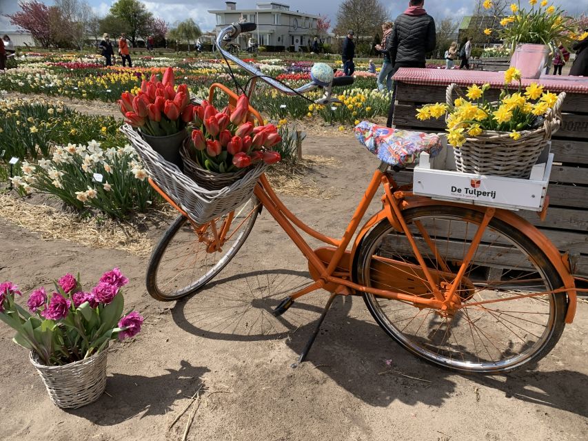 Lisse: Enjoy the Tulip Fields by Bike with a Local Guide! - Who should book this bike tour, and who should self-explore