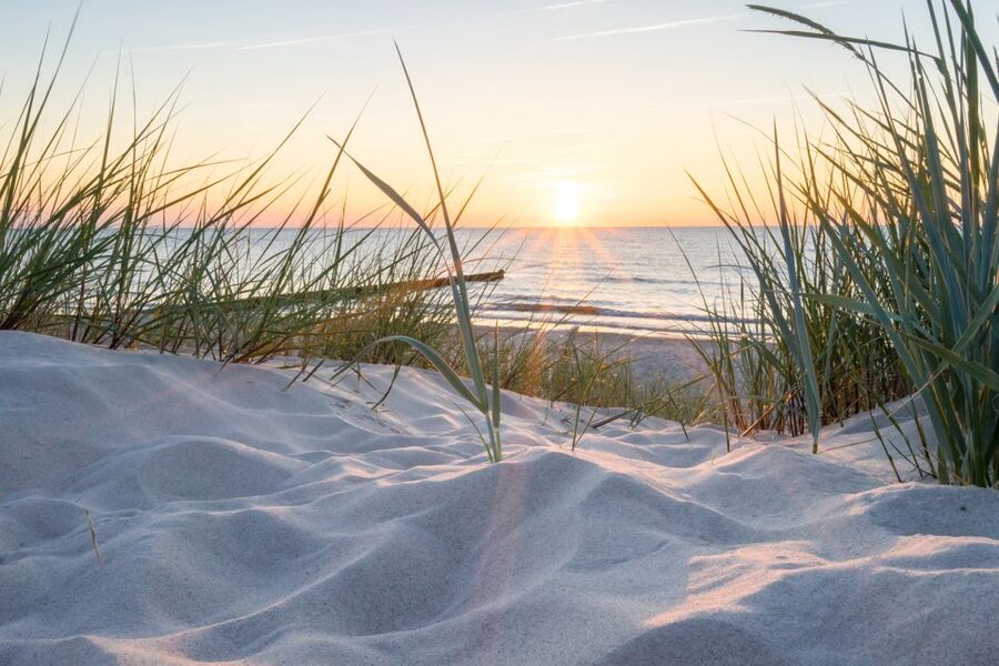 Lisse: Self-Drive Electric Car Dune and Beach Audio Tour - Key things to know before you go