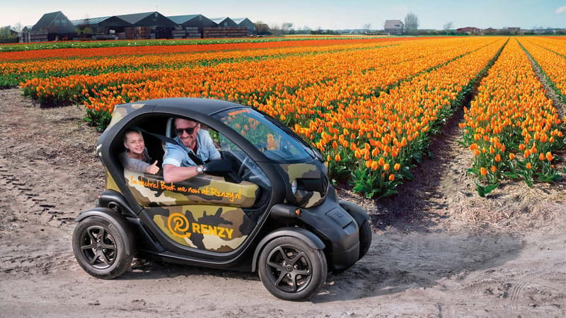 Lisse: Self-Guided Tulip Fields GPS Audio Tour - Key highlights you’ll feel fast