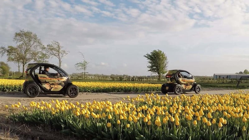 Lisse: Self-Guided Tulip Fields GPS Audio Tour - Step by step: what happens in the 2 hours