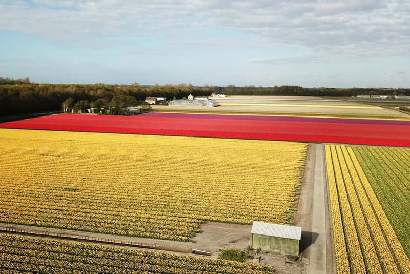 Lisse: Self-Guided Tulip Fields GPS Audio Tour - The route near Keukenhof, and what it’s actually showing you