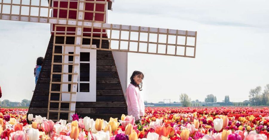 Lisse: Tulip Experience Ticket with Tulip Garden and Museum - First Stop: Where This Tulip Farm Fits Near Keukenhof