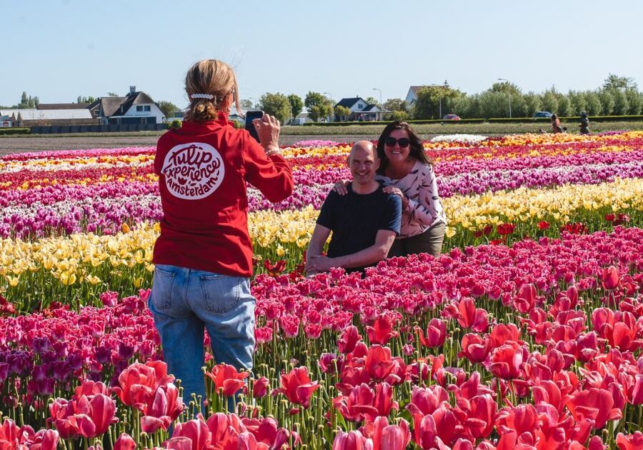 Lisse: Tulip Experience Ticket with Tulip Garden and Museum - The Tulip Museum: Learn What’s Behind the Flower